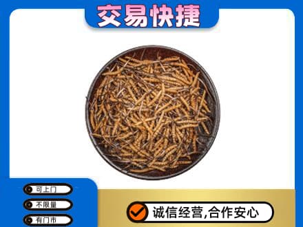 定安高价回收散虫草